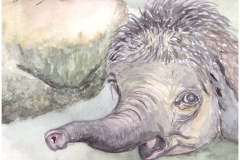 Elephant-rotated