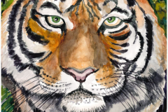 Tiger-rotated